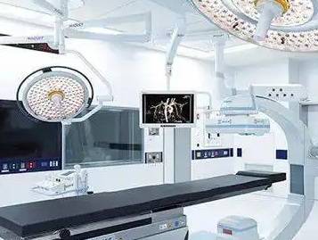 2025年01月南京某医疗企业设备浪涌防护项目